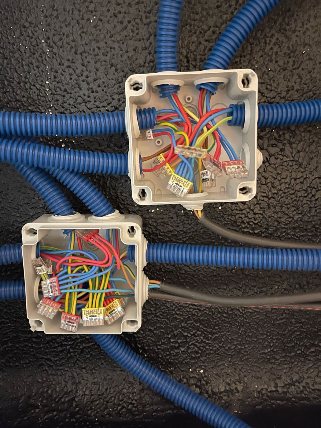 Boîtes de dérivation ouvertes montrant un câblage ordonné sous gaines, connexions réalisées avec des bornes automatiques